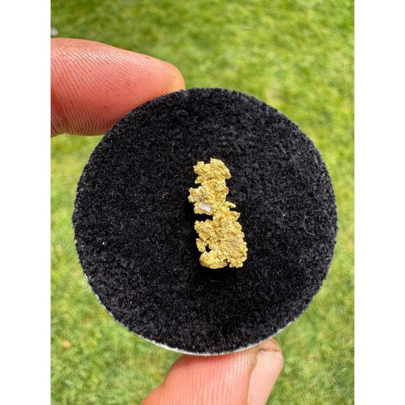 California Native Gold Crystal - 1.20 grams - Picture 2 of 7